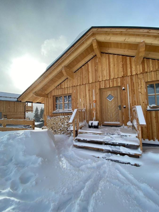 Almhuette Villa Lachtal Buitenkant foto